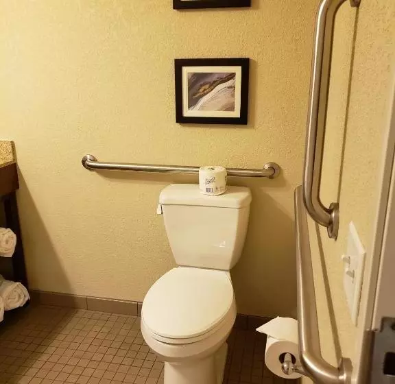 身障者適用キングサイズベッドルーム, Comfort Inn & Suites Sidney I 80