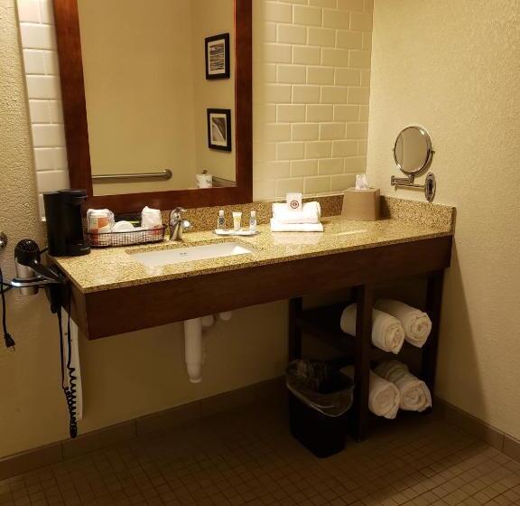 Номер Стандарт Кровать Кинг Адаптированный для Инвалидов, Comfort Inn & Suites Sidney I 80