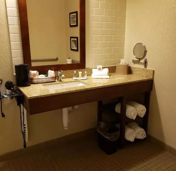 身障者適用キングサイズベッドルーム, Comfort Inn & Suites Sidney I 80
