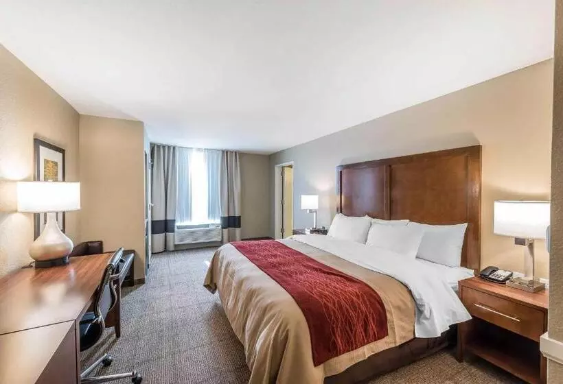 身障者適用スイートルーム, Comfort Inn & Suites Sidney I 80