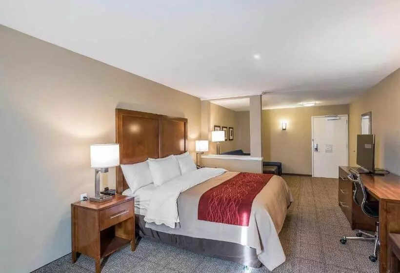 身障者適用スイートルーム, Comfort Inn & Suites Sidney I 80