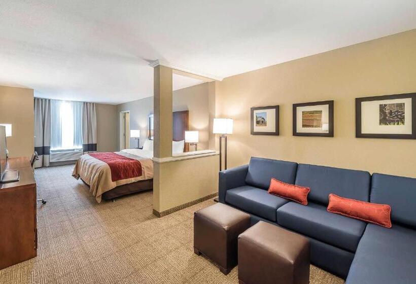 Люкс Адаптированный для Инвалидов, Comfort Inn & Suites Sidney I 80