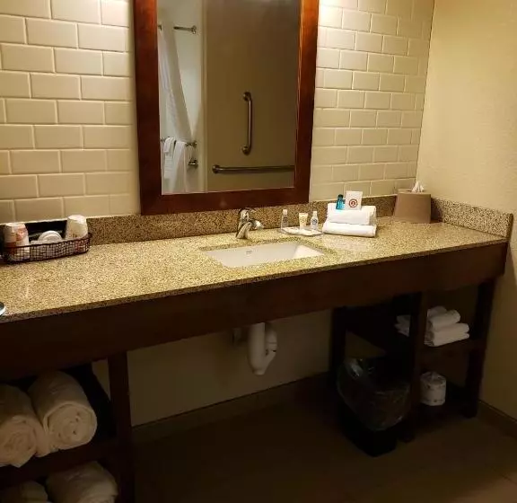 身障者適用スイートルーム, Comfort Inn & Suites Sidney I 80