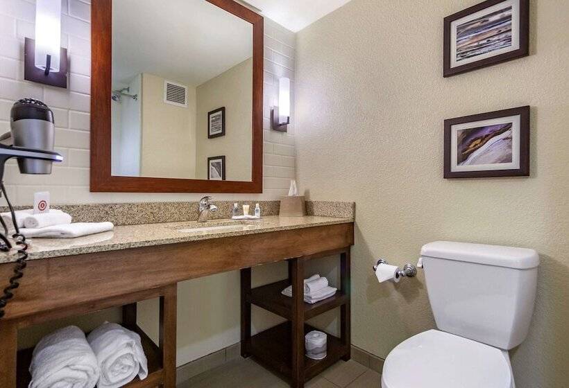 غرفه قياسيه سريرين مزدوجين, Comfort Inn & Suites Sidney I 80