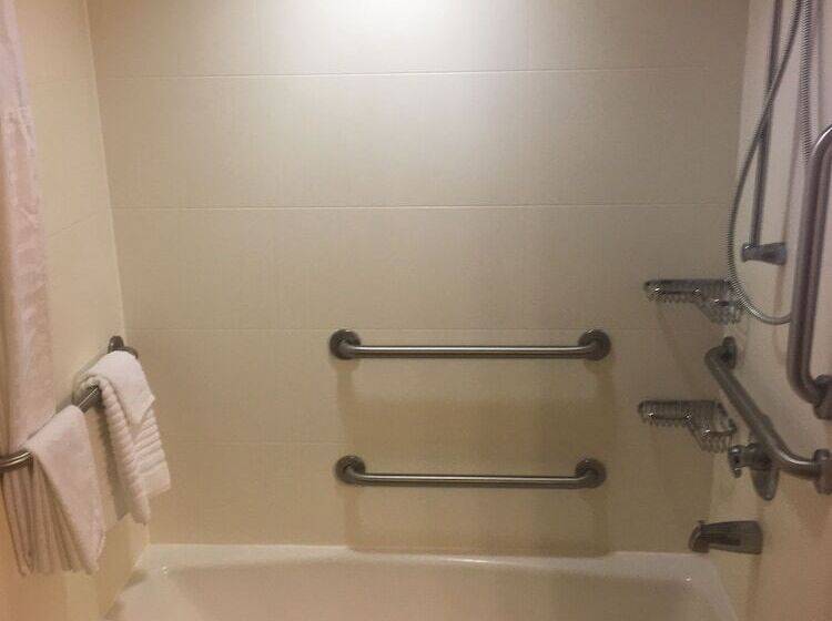 جناح لذوى الاحتياجات الخاصة, Comfort Inn & Suites Sidney I 80