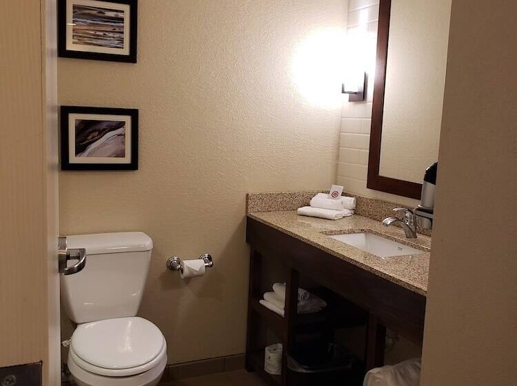 غرفه قياسيه سريرين مزدوجين, Comfort Inn & Suites Sidney I 80