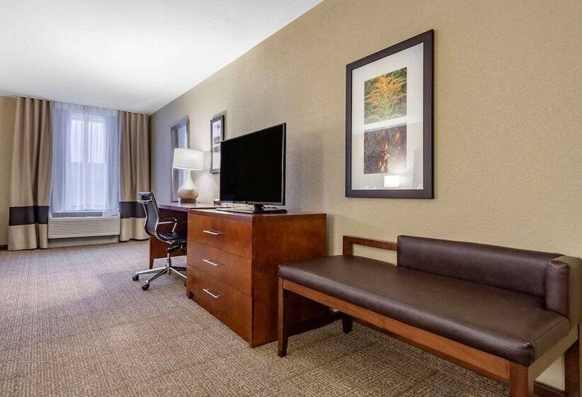 Номер Стандарт 2 Двуспальные Кровати, Comfort Inn & Suites Sidney I 80