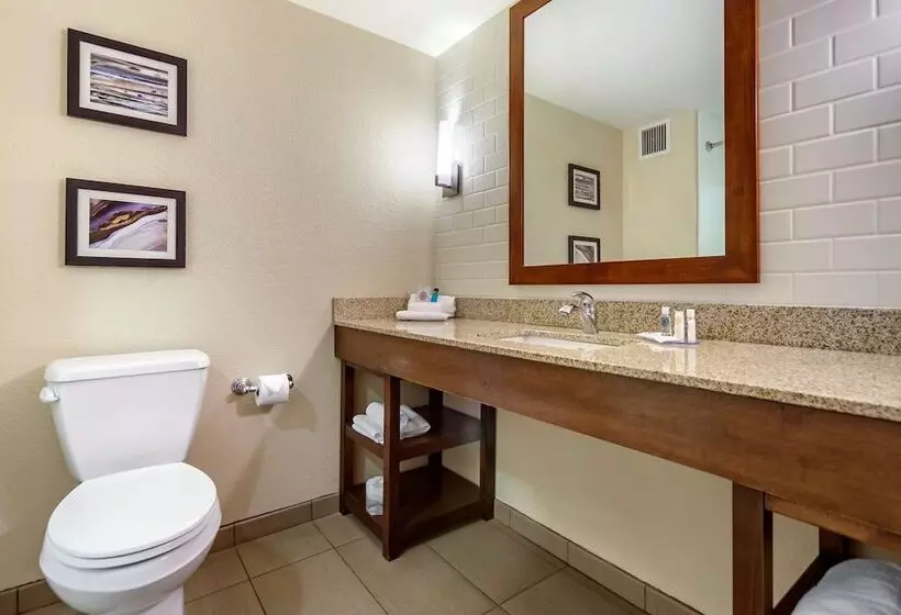 ２ダブルベッドのスタンダードルーム, Comfort Inn & Suites Sidney I 80