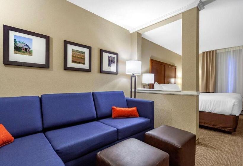 Люкс Кровать Кинг, Comfort Inn & Suites Sidney I 80