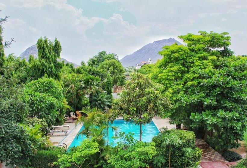 اتاق لوکس, Green Park Resort