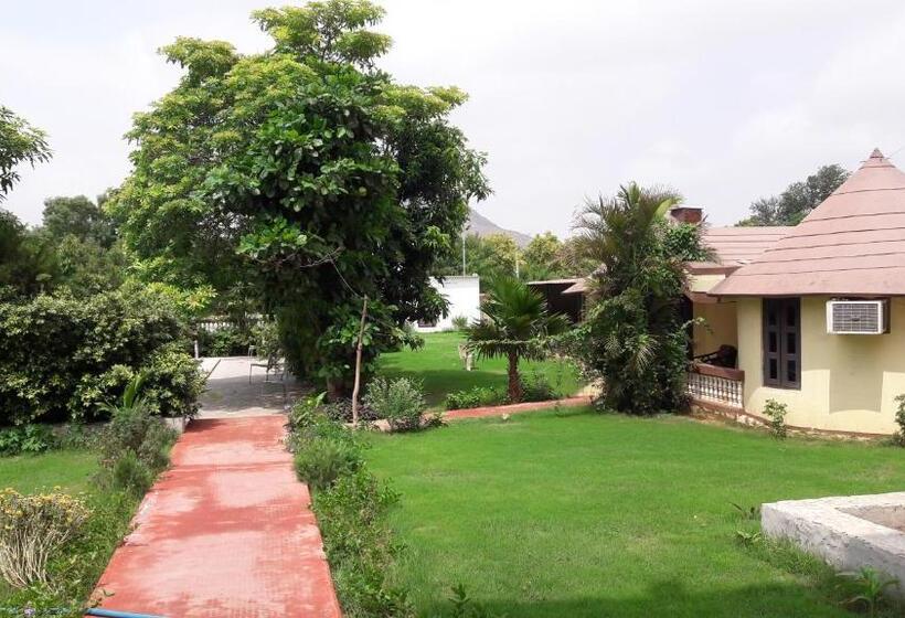 اتاق لوکس, Green Park Resort