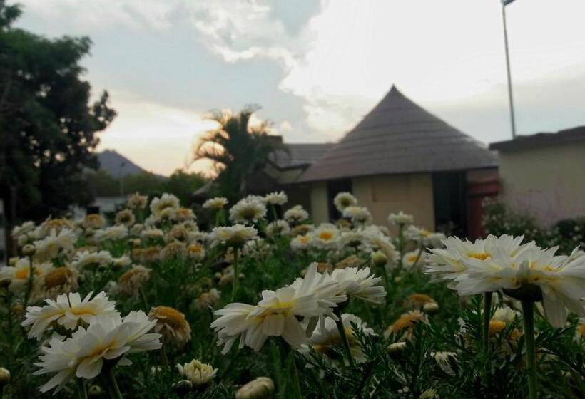 اتاق لوکس, Green Park Resort