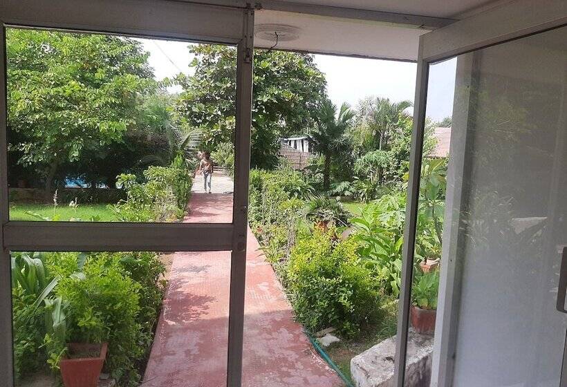 اتاق لوکس, Green Park Resort