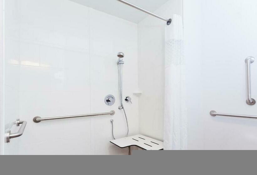 장애인을 위한 킹사이즈 침대 스탠다드 룸, Hampton Inn Eufaula