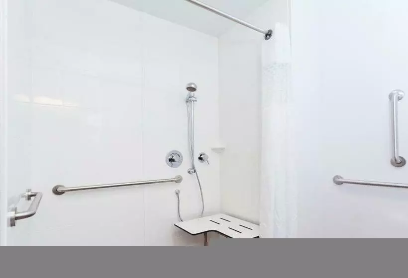 身障者適用キングサイズベッドルーム, Hampton Inn Eufaula