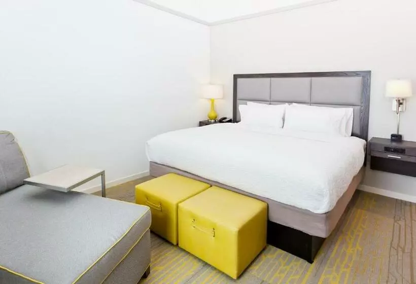 身障者適用キングサイズベッドルーム, Hampton Inn Eufaula