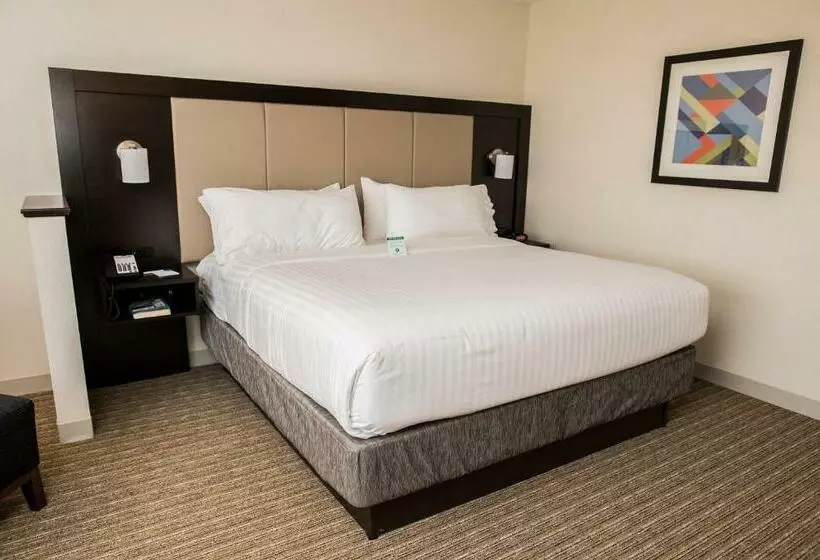 Standard-invahuone, Holiday Inn Express & Suites Marietta, An Ihg
