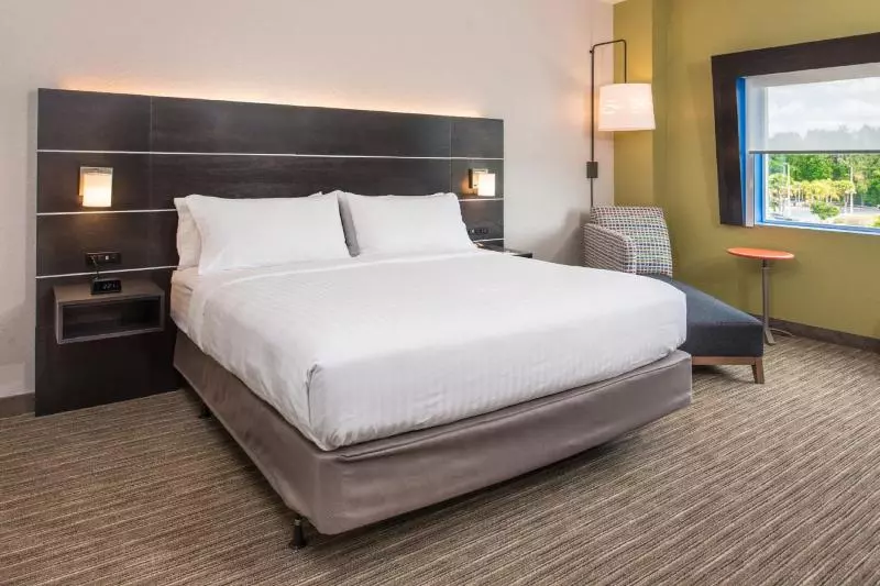 キングサイズベッドのスタンダードルーム, Holiday Inn Express & Suites   Tampa North   Wesley Chapel, An Ihg
