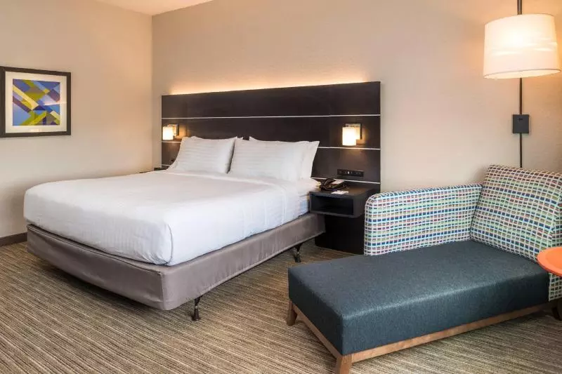 キングサイズベッドのスタンダードルーム, Holiday Inn Express & Suites   Tampa North   Wesley Chapel, An Ihg