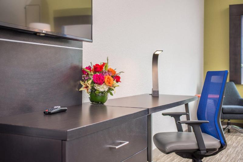 Стандартный Номер Кровать Кинг, Holiday Inn Express & Suites   Tampa North   Wesley Chapel, An Ihg