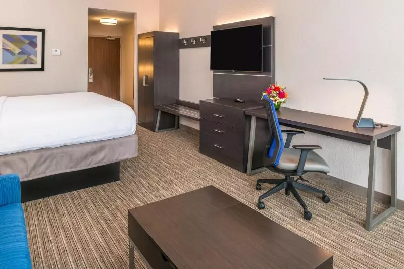 キングサイズベッドのスイートルーム, Holiday Inn Express & Suites   Tampa North   Wesley Chapel, An Ihg