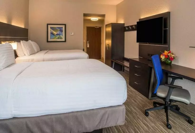 スタンダードルーム, Holiday Inn Express & Suites   Tampa North   Wesley Chapel, An Ihg