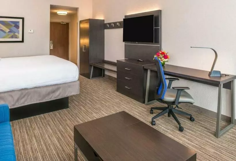 キングサイズベッドのスイートルーム, Holiday Inn Express & Suites   Tampa North   Wesley Chapel, An Ihg