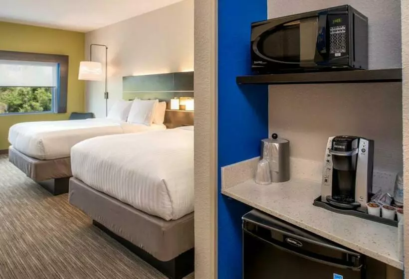 スタンダードルーム, Holiday Inn Express & Suites   Tampa North   Wesley Chapel, An Ihg