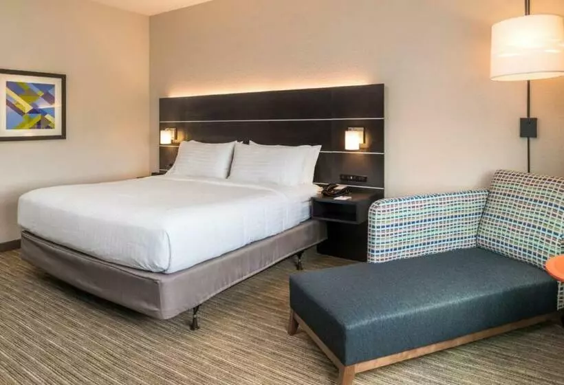 キングサイズベッドのスタンダードルーム, Holiday Inn Express & Suites   Tampa North   Wesley Chapel, An Ihg