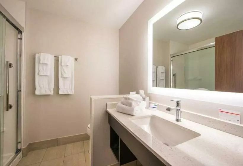 スタンダードルーム, Holiday Inn Express & Suites   Tampa North   Wesley Chapel, An Ihg