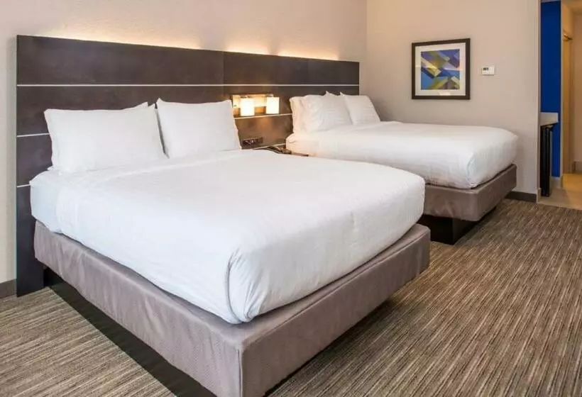 スタンダードルーム, Holiday Inn Express & Suites   Tampa North   Wesley Chapel, An Ihg