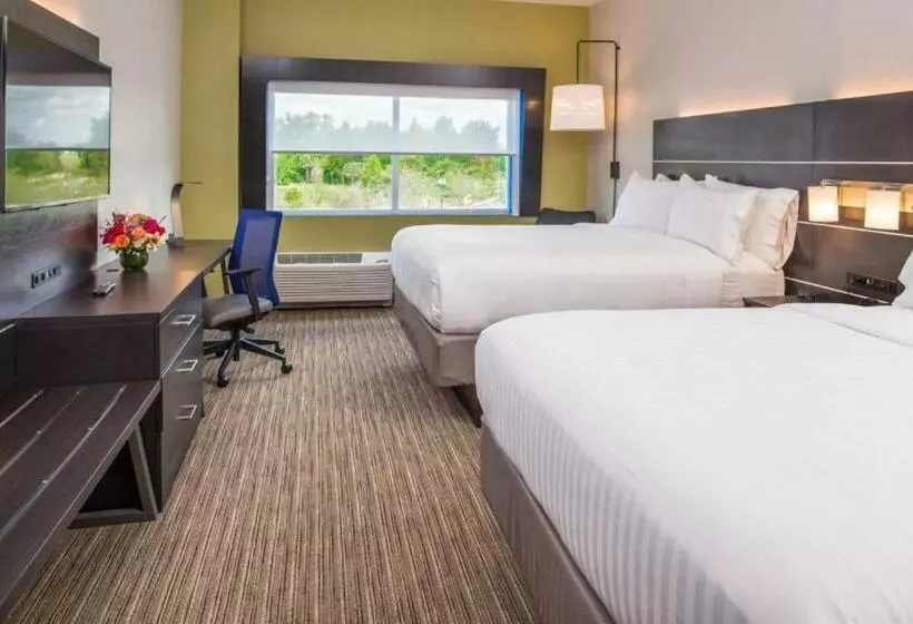 スタンダードルーム, Holiday Inn Express & Suites   Tampa North   Wesley Chapel, An Ihg