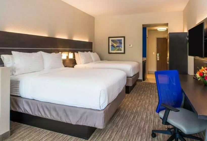 デラックススイート, Holiday Inn Express & Suites   Tampa North   Wesley Chapel, An Ihg