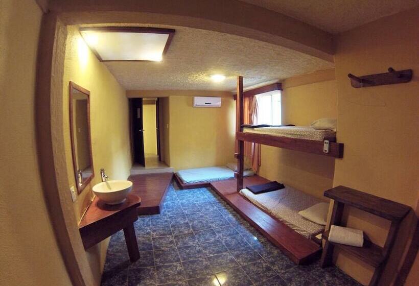 Familjerum, Hostal Vallarta Suites