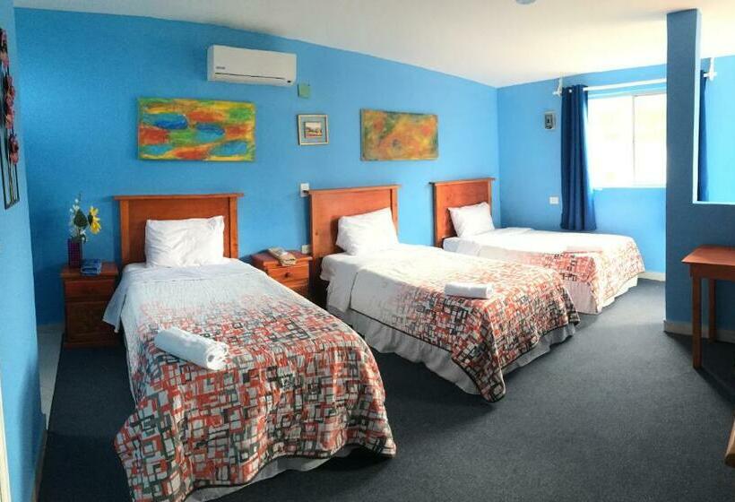 חדר אקונומי לשלושה, Mansion Giahn Bed & Breakfast