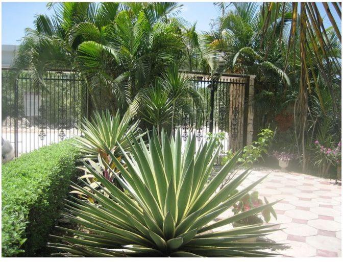 חדר אקונומי, Mansion Giahn Bed & Breakfast