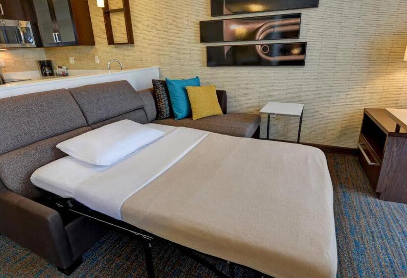 Студио Стандарт Кровать Кинг, Residence Inn By Marriott Jackson The District At Eastover