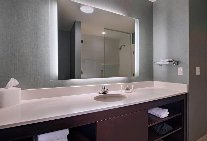 Люкс, Residence Inn By Marriott Jackson The District At Eastover