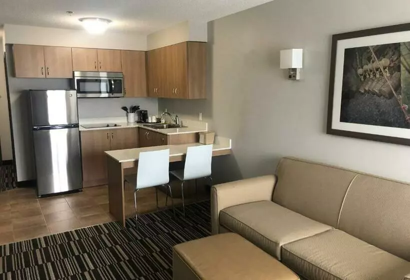 デラックススイート, Microtel Inn & Suites By Wyndham Sudbury