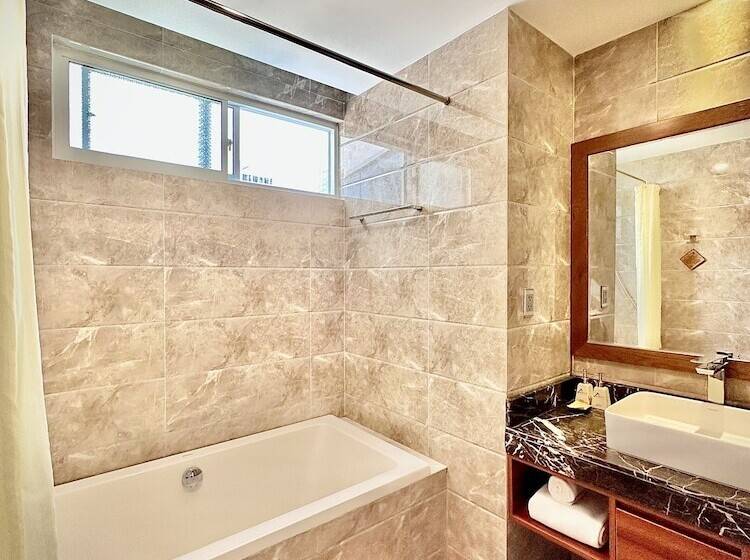 اتاق سوپریور با چشم‌انداز شهر, Avatar Danang