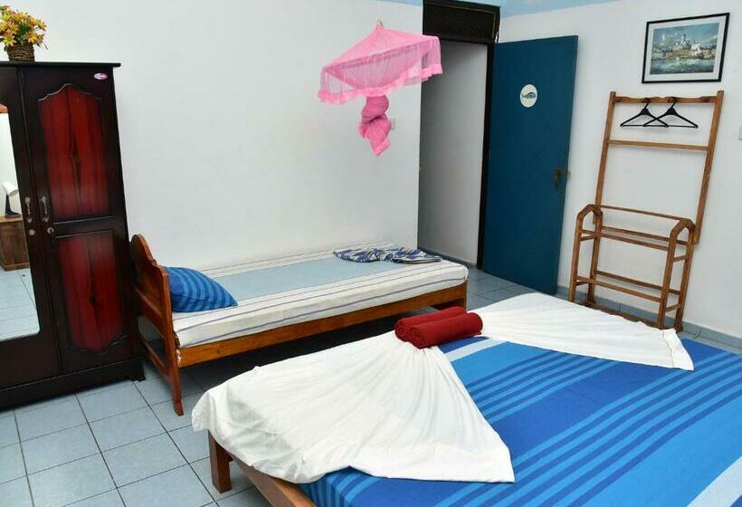 חדר סטנדרט לשלושה, Happy Tuna