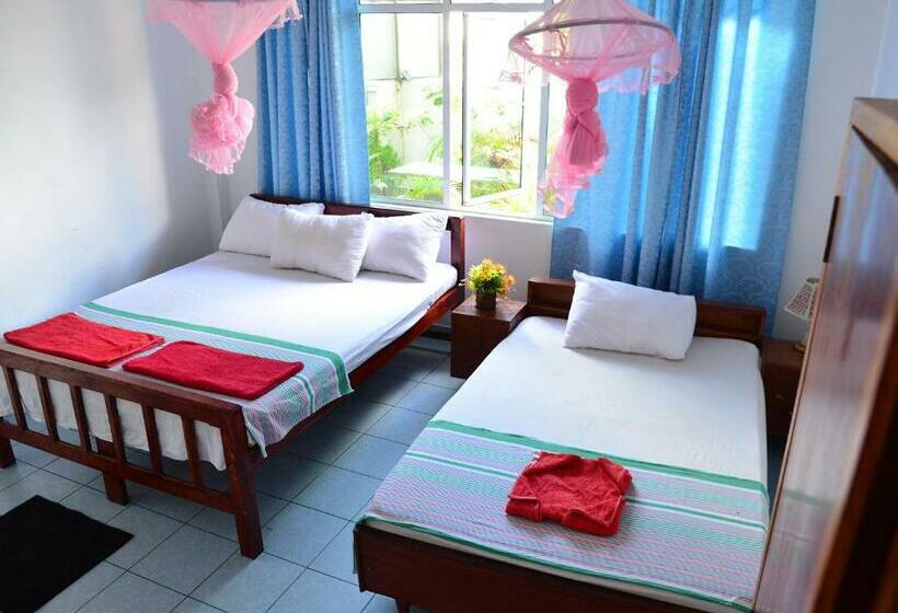 חדר סטנדרט לשלושה, Happy Tuna