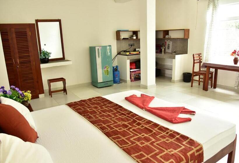 חדר סטודיו סטנדרד, Happy Tuna