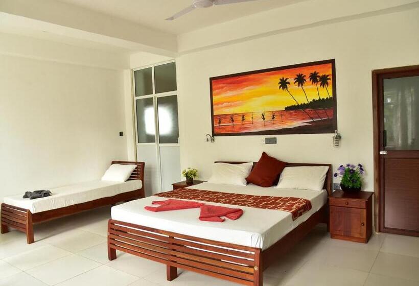 חדר סטודיו סטנדרד, Happy Tuna