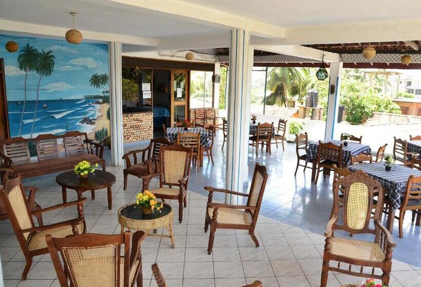 חדר סטודיו סטנדרד, Happy Tuna