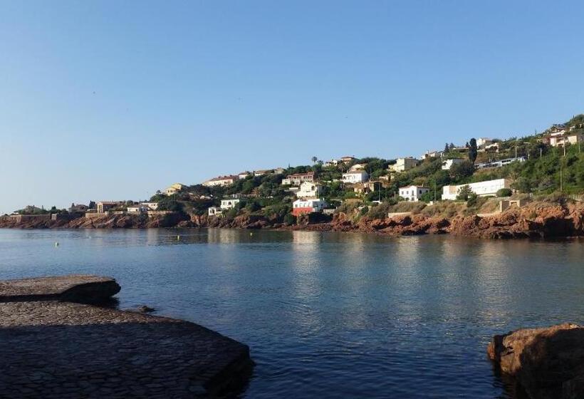 סטודיו סטנדרטי נוף לים, Les Flots Bleus