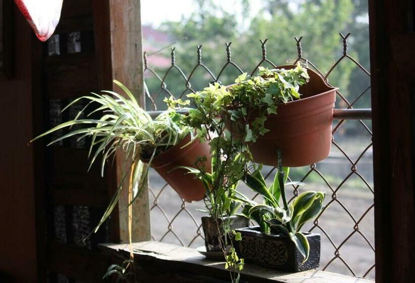 1 Yatak Odalı Lüks Villa, Share B&b