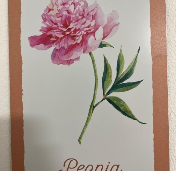 غرفة فردية  مطلة على الحديقة, Affittacamere San Mamante