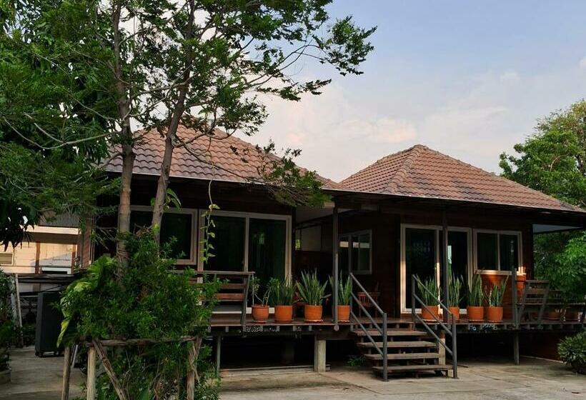 Номер Стандарт, Rabbit House