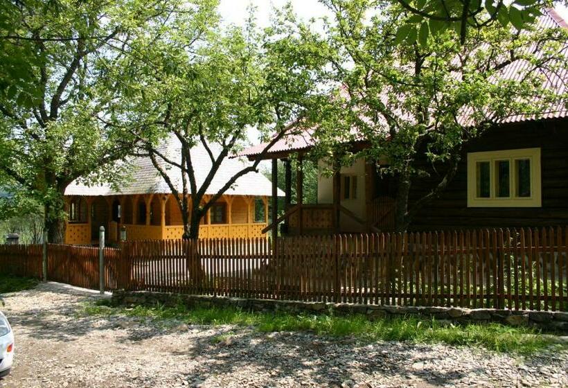 חדר סטנדרט נוף להרים, Casa De Vacanta Padis